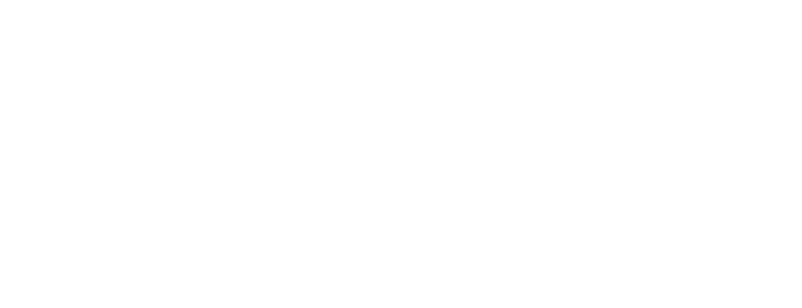 VNV - Default logo - white